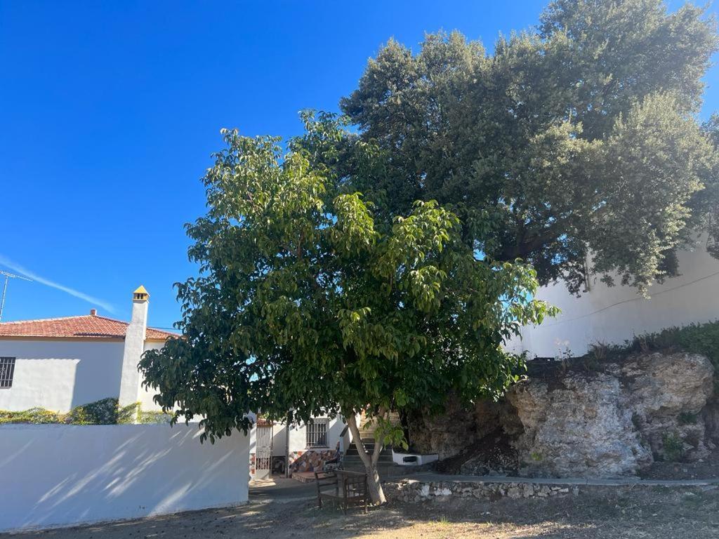Alojamiento Rural Huerta Mandre Cuevas del Becerro Buitenkant foto