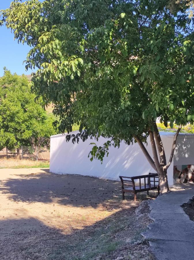 Alojamiento Rural Huerta Mandre Cuevas del Becerro Buitenkant foto